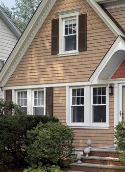 Replacement Windows